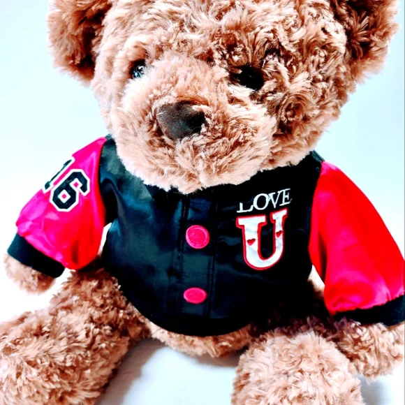 EUC Dan Dee Collector's Plush 17 " Brown Teddy Bear with Love U on the jacket - Picture 3 of 14